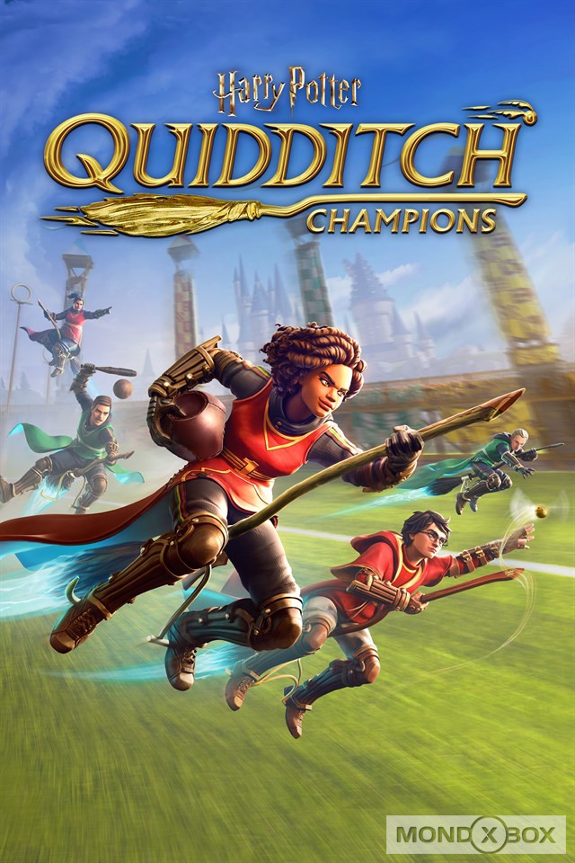 Copertina di Harry Potter: Campioni di Quidditch